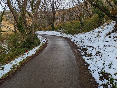 PXL_20221219_024439846