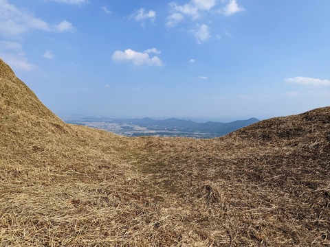 PXL_20220226_053743039