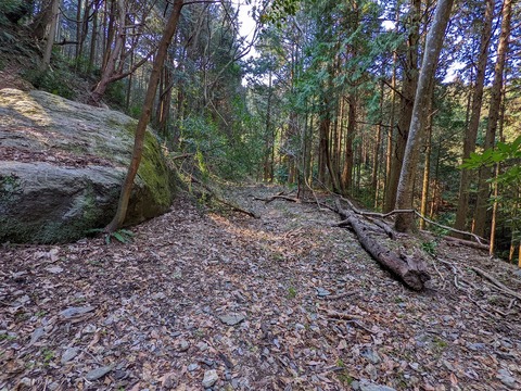 PXL_20220226_043048815