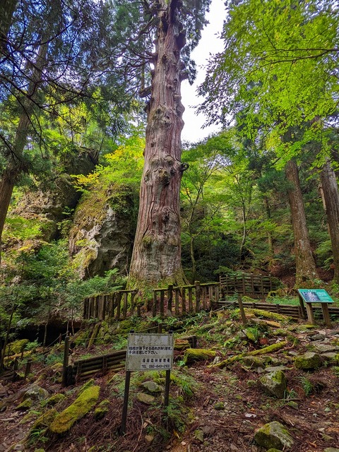 PXL_20221015_040922946