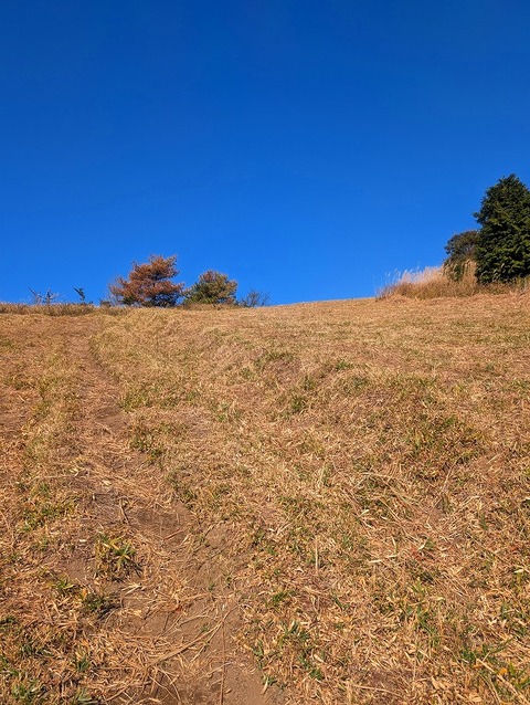 PXL_20251207_021322860.MP