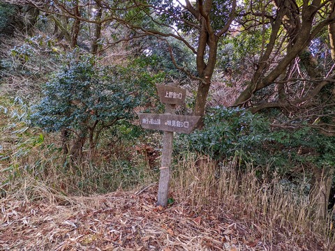 PXL_20220226_053000221