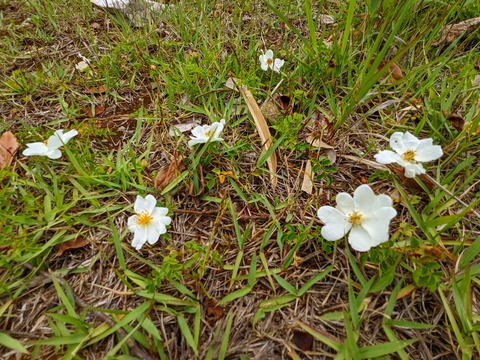 PXL_20220617_021633567