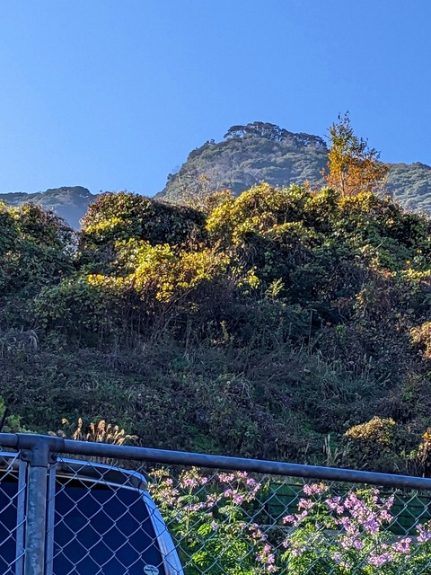 PXL_20221210_010234664