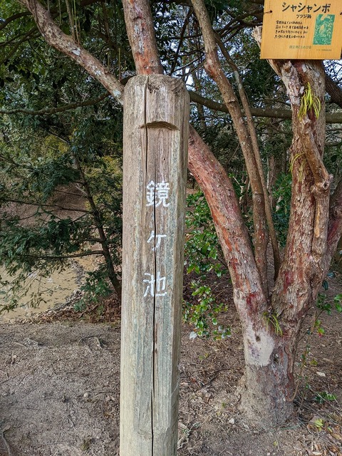 30