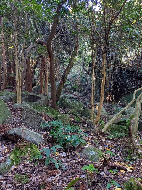 PXL_20221210_013316411