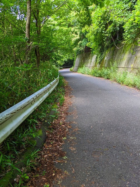 PXL_20220617_011033824