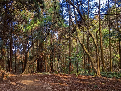 PXL_20220212_021710567