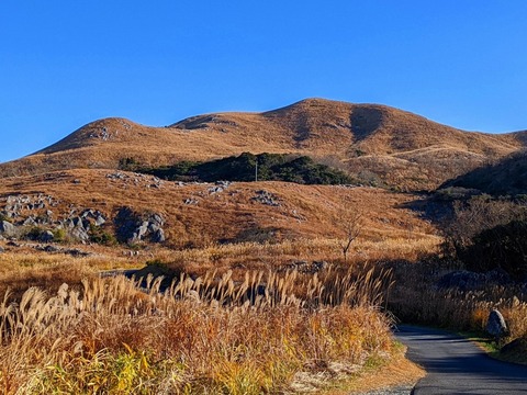 PXL_20211209_001030129