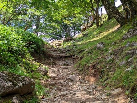 PXL_20210728_025338378