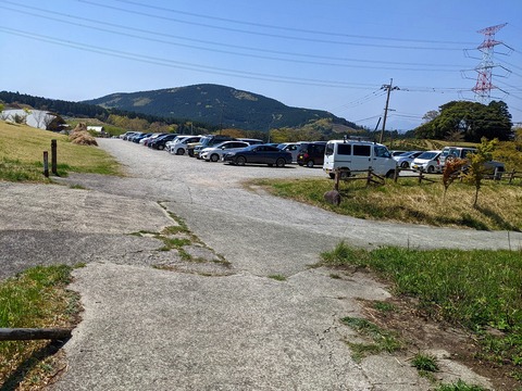 PXL_20220409_032000988