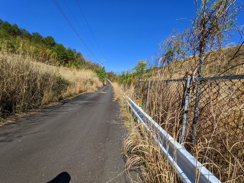 PXL_20220417_002530928