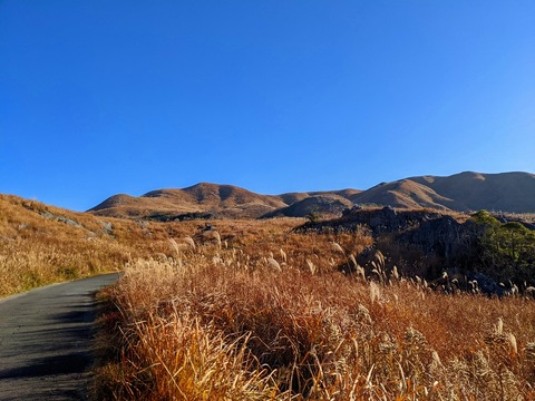 PXL_20211209_000753991