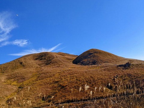 PXL_20211209_041301597