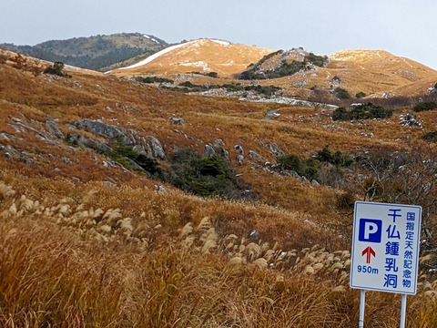 PXL_20221219_020917398