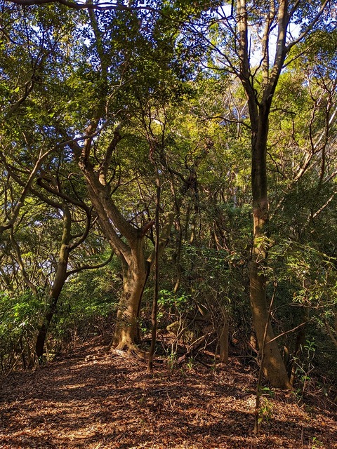 PXL_20221210_023638462