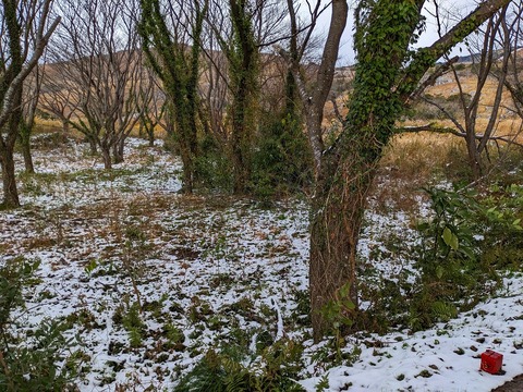 PXL_20221219_024450791