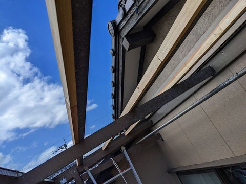 PXL_20220920_050207596