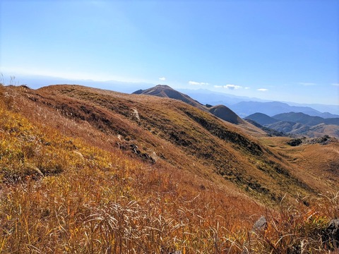 PXL_20211209_013514907