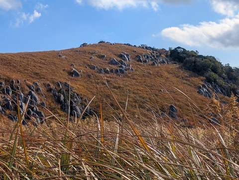 PXL_20251207_034818184.MP