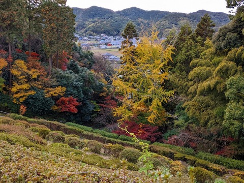 PXL_20221202_060647037