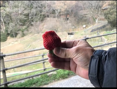 Screenshot_20220207-094858