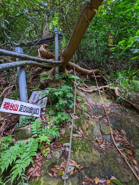 PXL_20220617_011515649