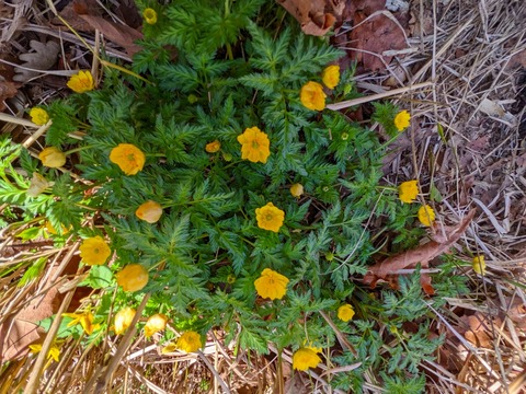 PXL_20220417_010007251