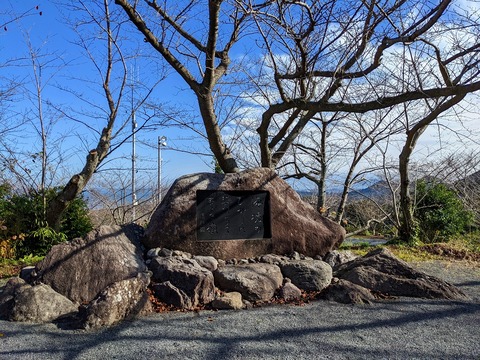 PXL_20221203_023408763