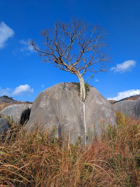 PXL_20251207_035808252