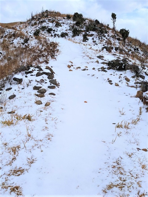 PXL_20221219_033541821