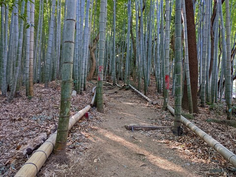 PXL_20220212_020456943