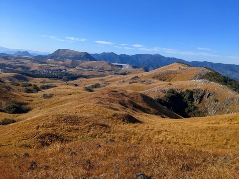 PXL_20211209_013706525