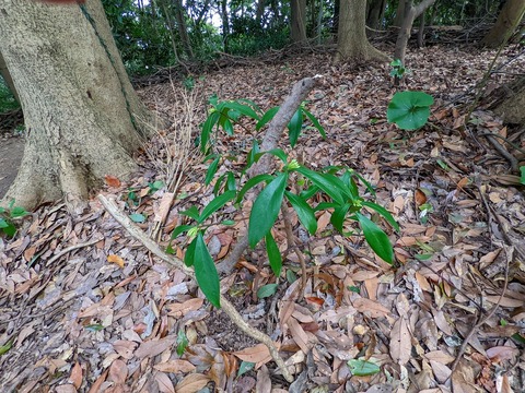 PXL_20220212_030720136