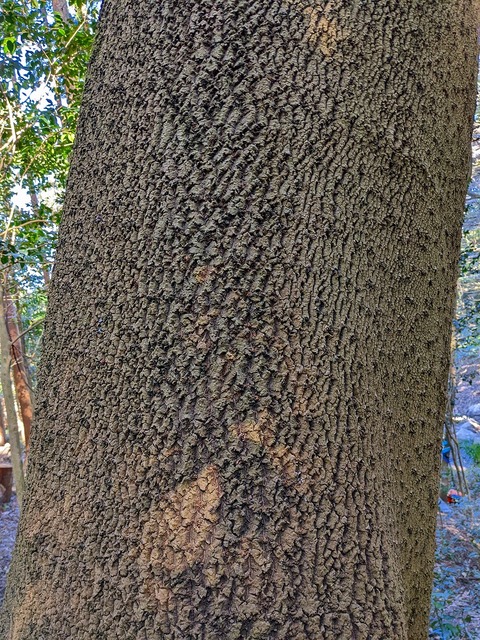 PXL_20220212_015508613