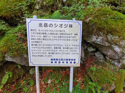 PXL_20210728_014545238