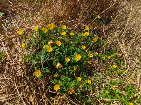 PXL_20220417_010147867