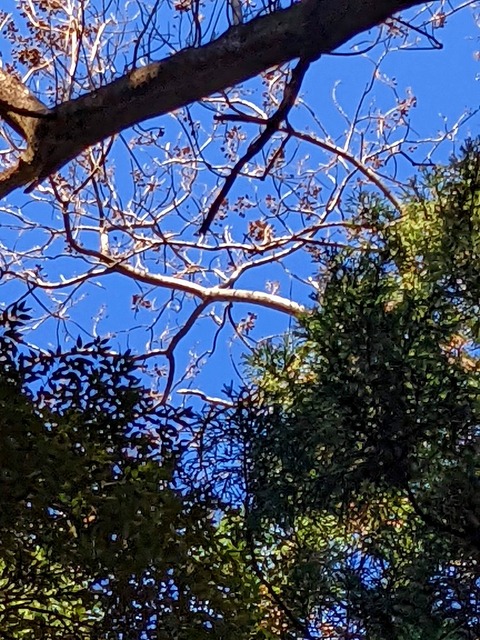 PXL_20220212_015702619