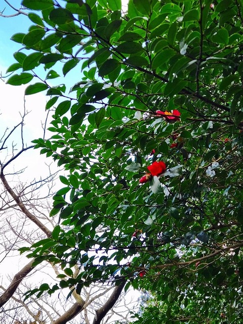 20230115_130553