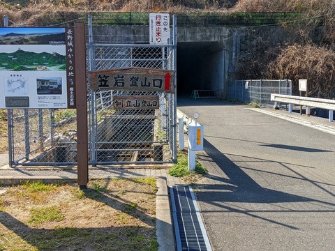 PXL_20220212_014138556.PORTRAIT