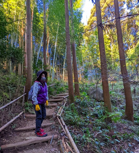 PXL_20221210_011817132