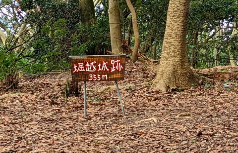 PXL_20220212_030748058