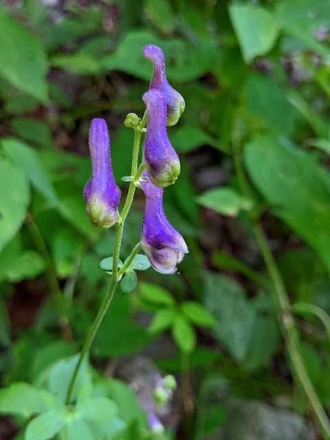 PXL_20220925_032737672.PORTRAIT