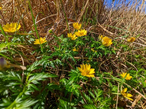 PXL_20220417_010158009