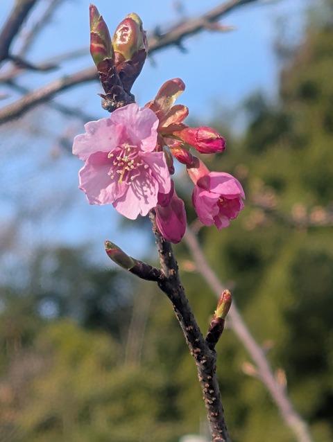 PXL_20260128_004704462