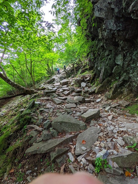 PXL_20210728_015842486