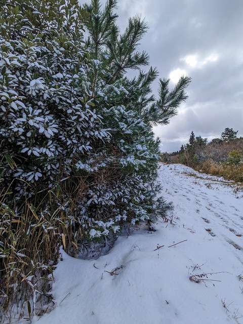 PXL_20221219_035455024