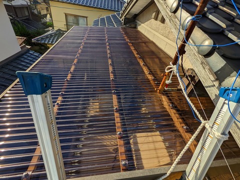 PXL_20220920_075228112