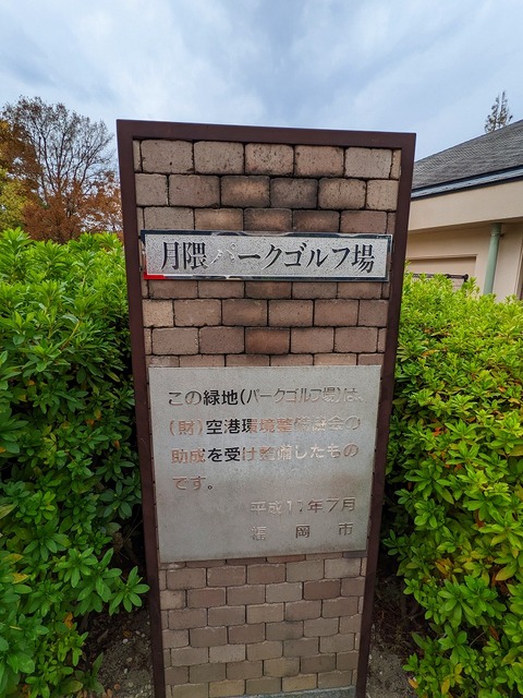 PXL_20221118_235739665