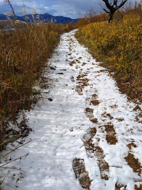 PXL_20221219_030528152